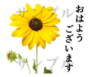 お花の敬語スタンプが承認されたのでリリース Yukimaruのline ライン スタンプ作成日記