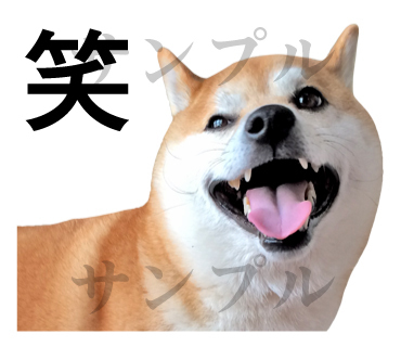 柴犬の写真スタンプの第2弾をリリース Yukimaruのline ライン スタンプ作成日記